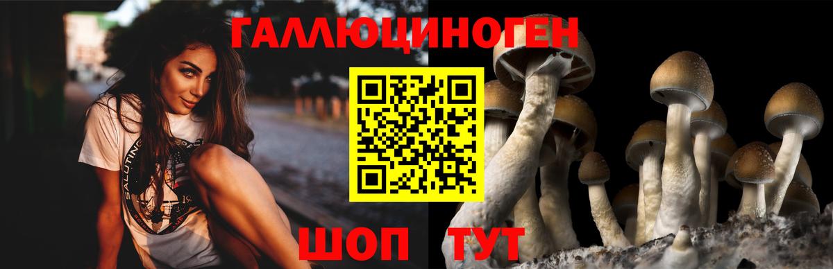 Сегежа  цены наркотик  Вход с VPN  Галлюциногенные грибы Cubensis  Псилоцибиновые грибы Cubensis 