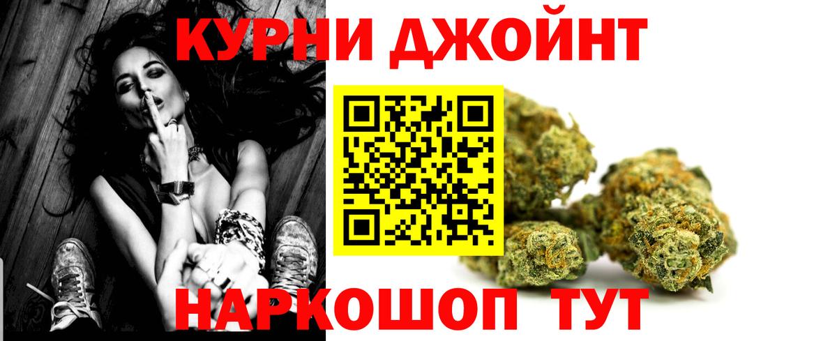 Сегежа  Канабис сатива  Бошки Шишки планчик  Вход с VPN 